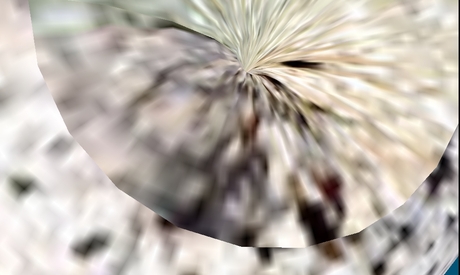 460>_2073393
